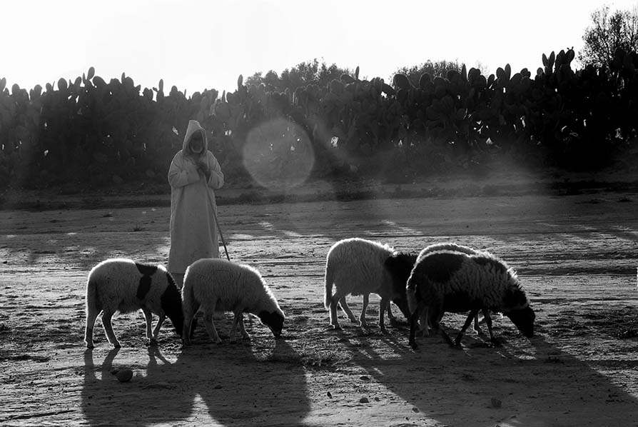 Schäfer, Souss, Marokko 2009.